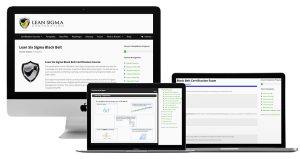 Lean Six Sigma Content and Systems